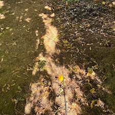 Landscape Lighting Installation in Laval (Sainte-Dorothee) 5